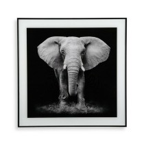 Bild Versa Kristall 2 x 50 x 50 cm