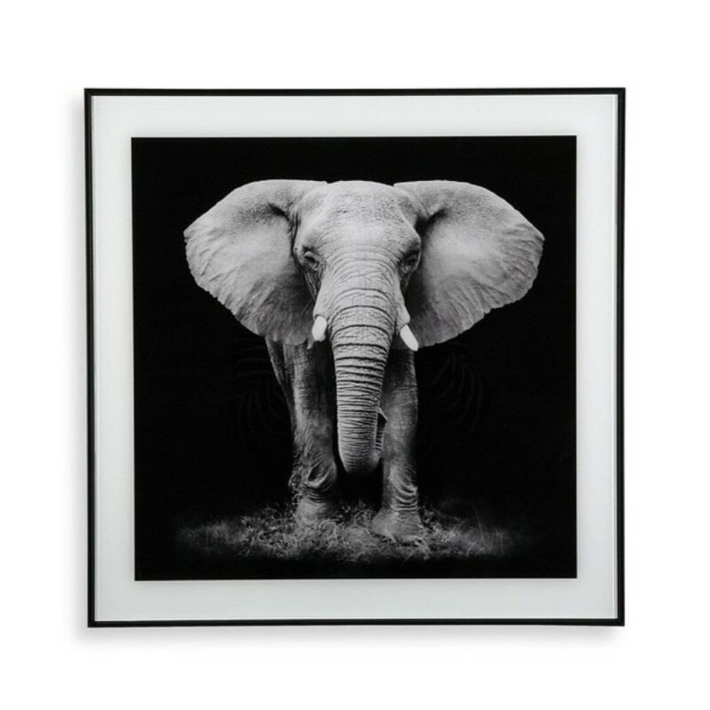 Cadre Versa Verre 2 x 50 x 50 cm