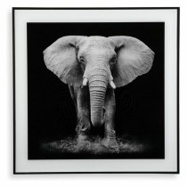 Bild Versa Kristall 2 x 50 x 50 cm