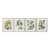 Cadre DKD Home Decor Bird Verre Sapin 55 x 2,5 x 70 cm (4 Pièces)