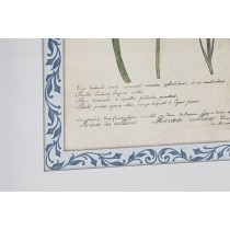 Painting Home ESPRIT Crystal MDF Wood 40 x 2,5 x 50 cm