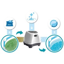 Salt Chlorination System Intex