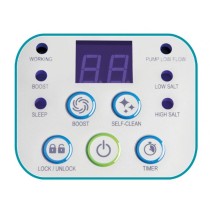 Salt Chlorination System Intex