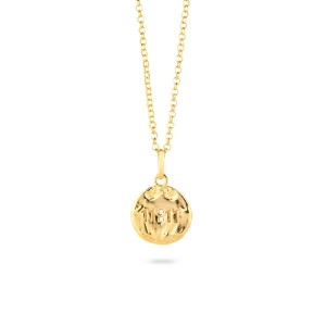 Collier Femme Radiant RY000048 50 cm