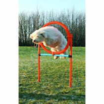 Trainingsspielzeug Trixie
