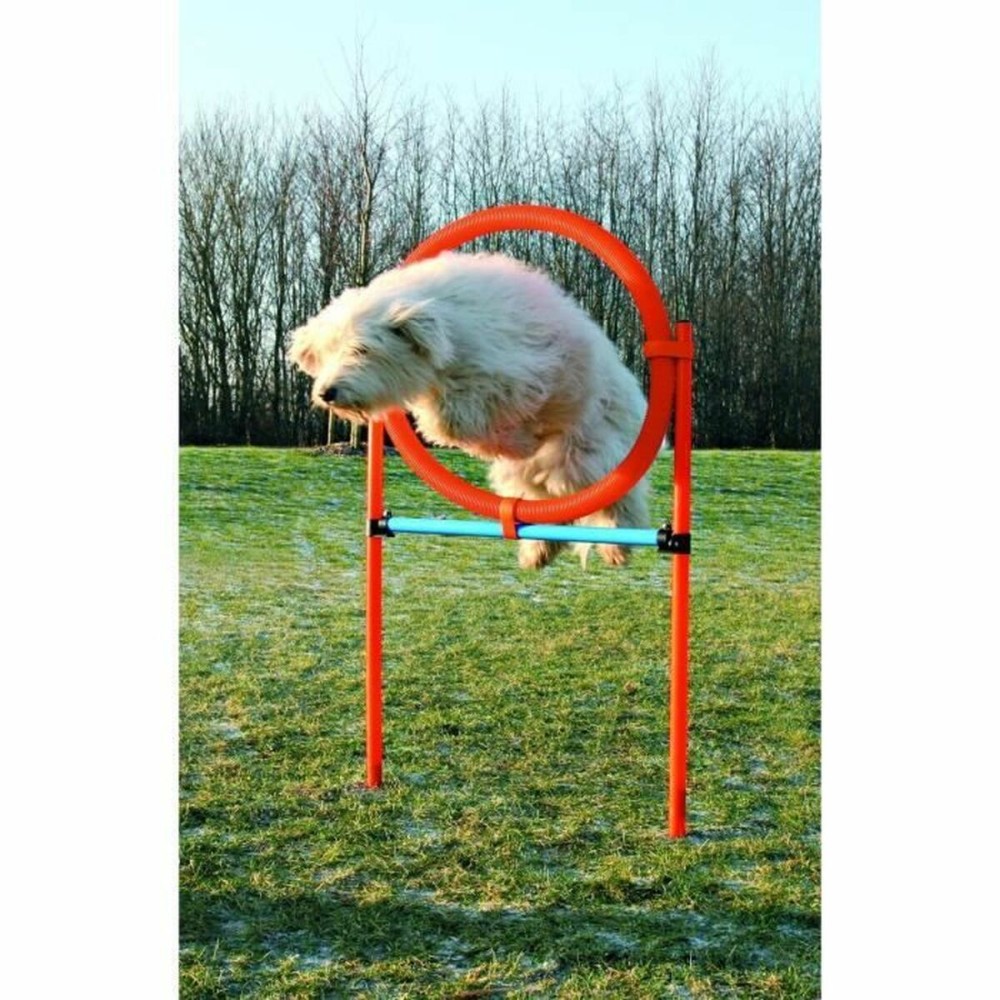 Trainingsspielzeug Trixie