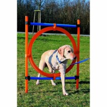 Trainingsspielzeug Trixie