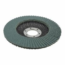 disque abrasif Wolfcraft