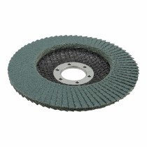 Grinding Disc Wolfcraft