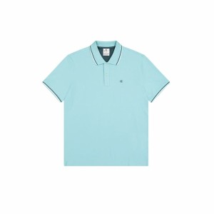 Herren Kurzarm-Poloshirt Champion Blau