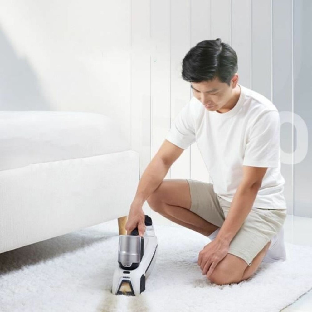 Aspirateur Manuel EZIclean SPOT REMOVER W100 60 W