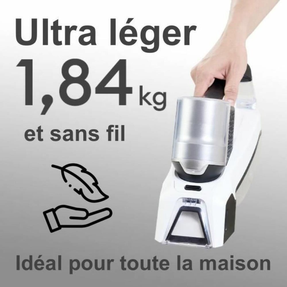 Handstaubsauger EZIclean SPOT REMOVER W100 60 W