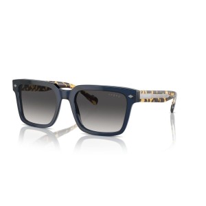 Herrensonnenbrille Vogue VO 5573S