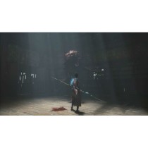 Jeu vidéo Xbox Series X Just For Games Wuchang: Fallen Feathers
