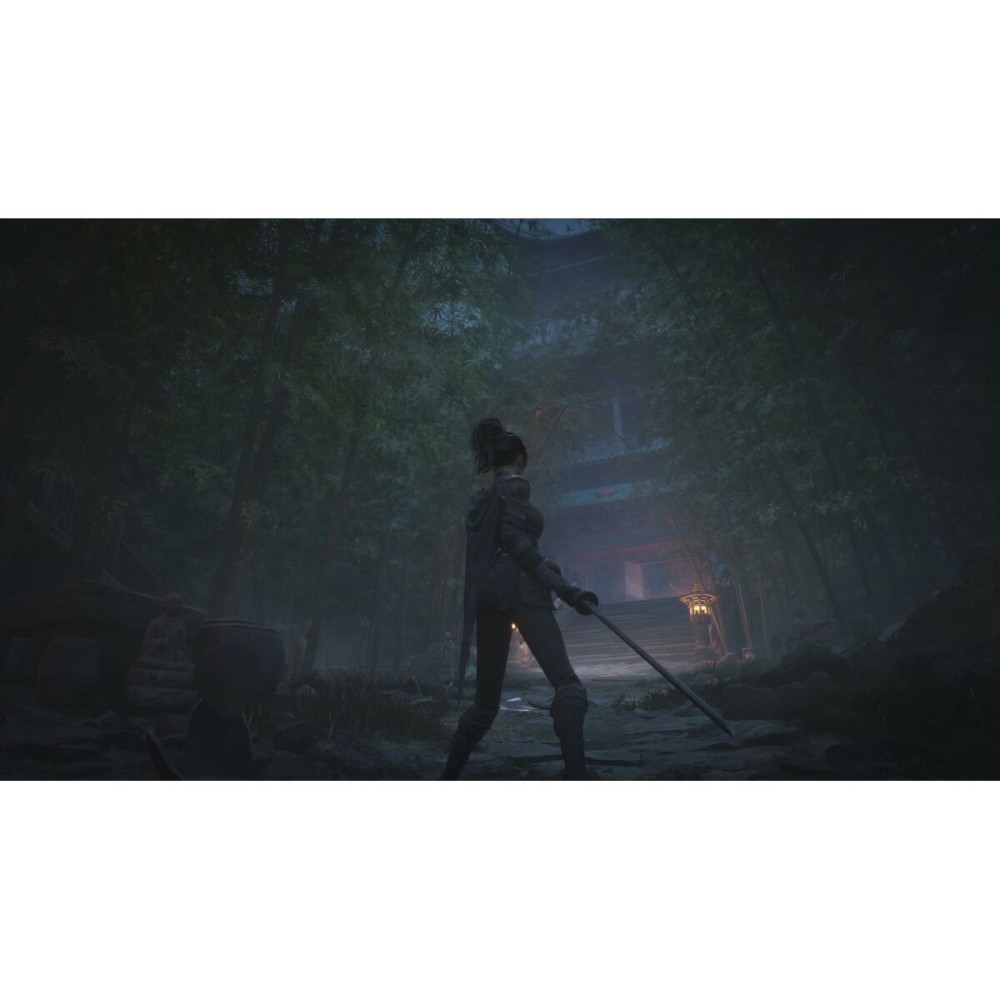 Jeu vidéo Xbox Series X Just For Games Wuchang: Fallen Feathers