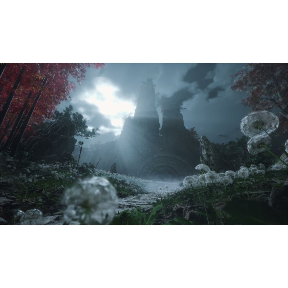 Jeu vidéo Xbox Series X Just For Games Wuchang: Fallen Feathers