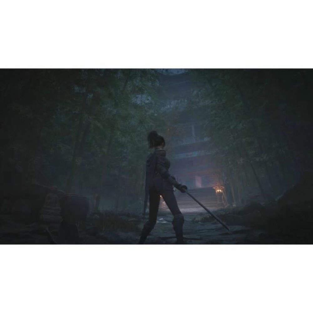 Jeu vidéo Xbox Series X Just For Games Wuchang: Fallen Feathers