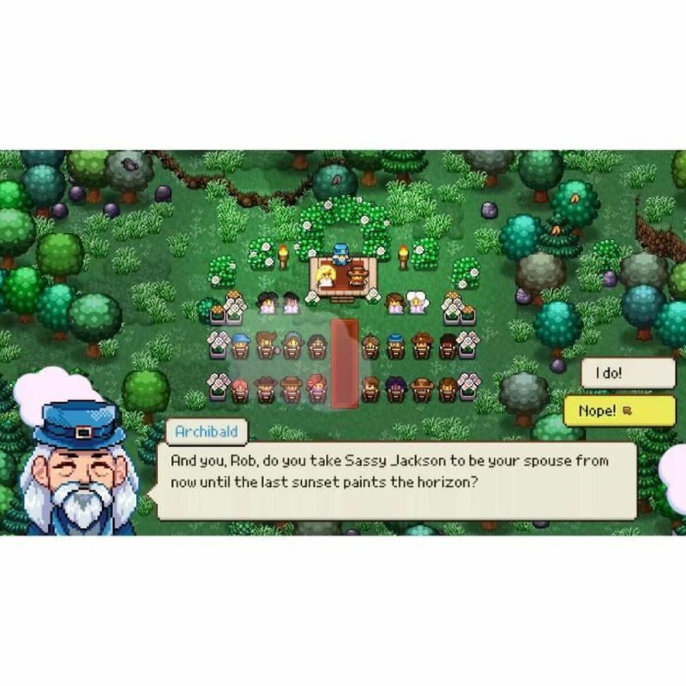 Jeu vidéo pour Switch Just For Games Cattle Country
