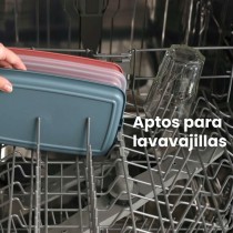 Lunchbox Ibili 689210