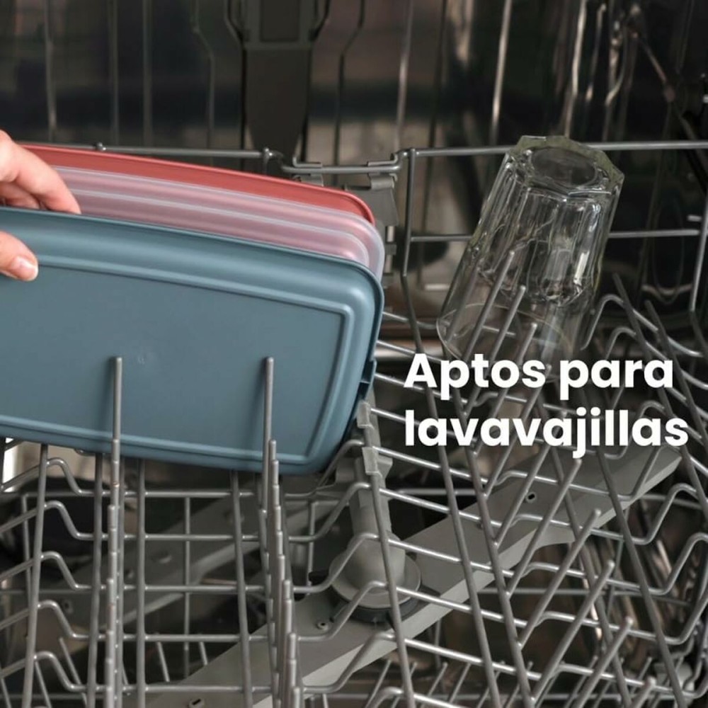 Lunchbox Ibili 689210