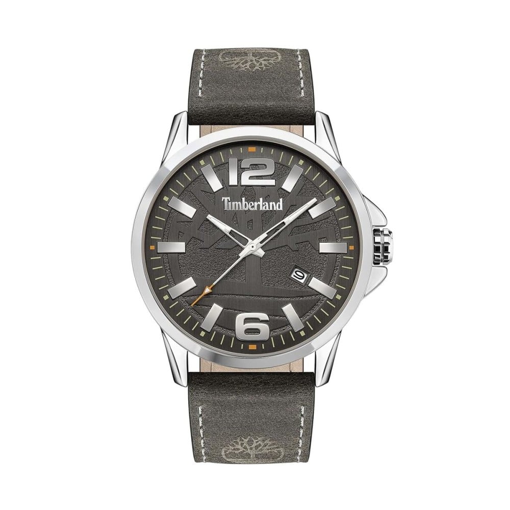 Men's Watch Timberland TDWJB2004201