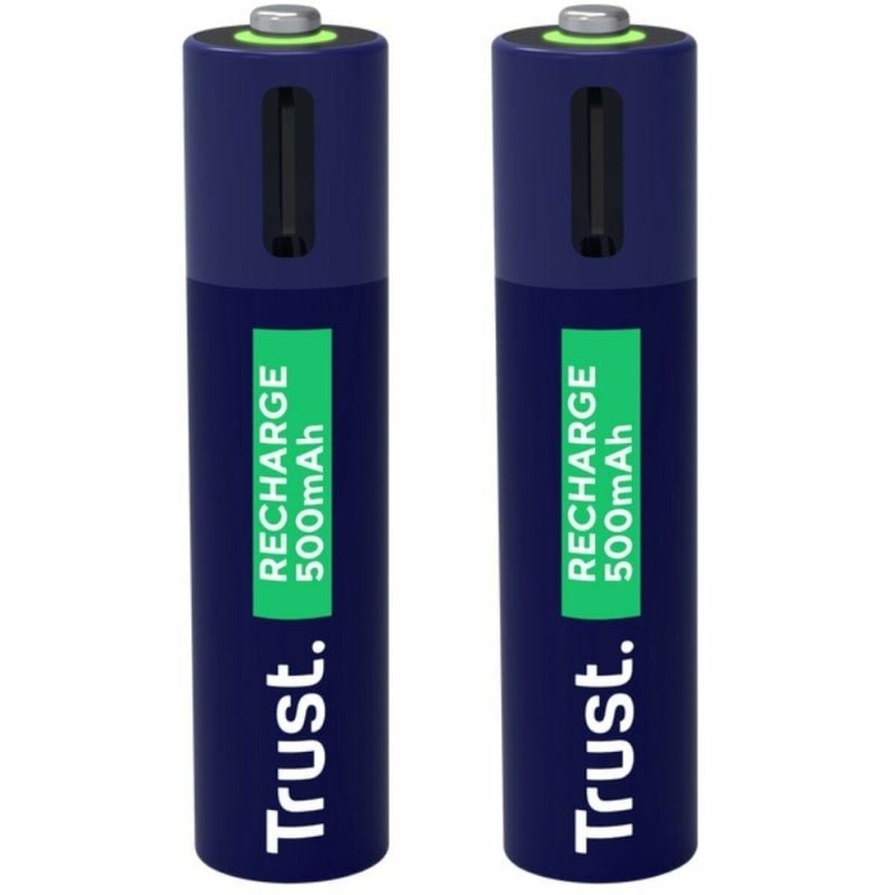 Batteries Trust 25585 AAA