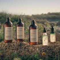 Après-shampooing L'Occitane En Provence AROMACOLOGÍA 250 ml