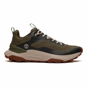 Men's Trainers Timberland Motion Acces Low Lace UP