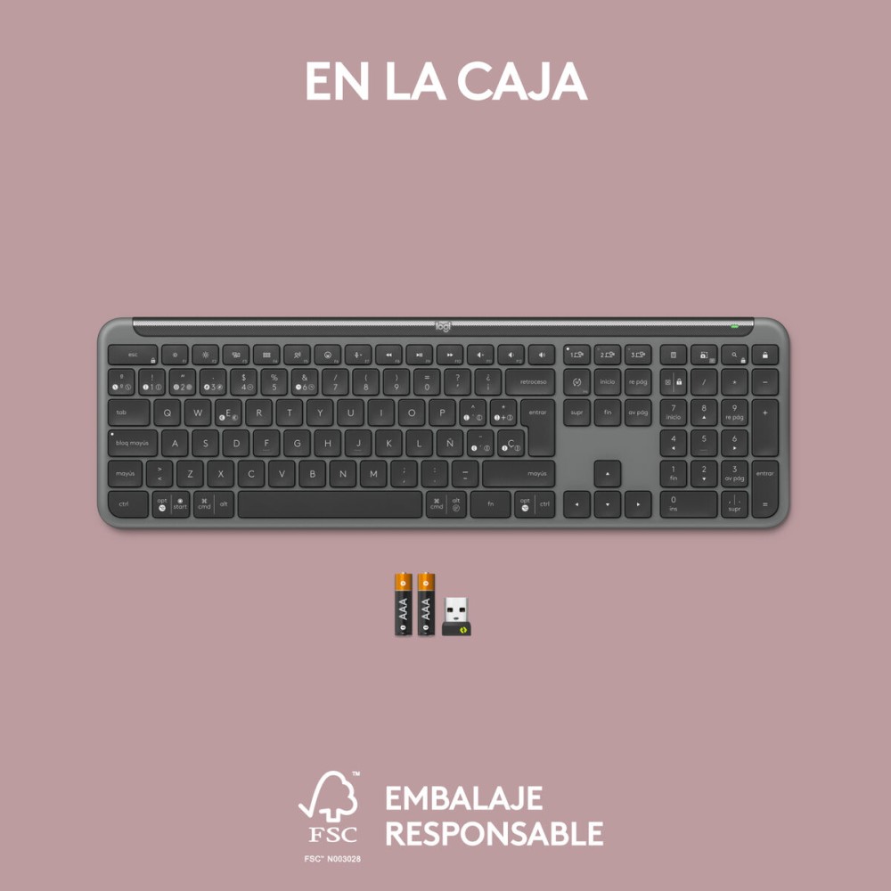 Wireless Keyboard Logitech 920-012455 Graphite QWERTY