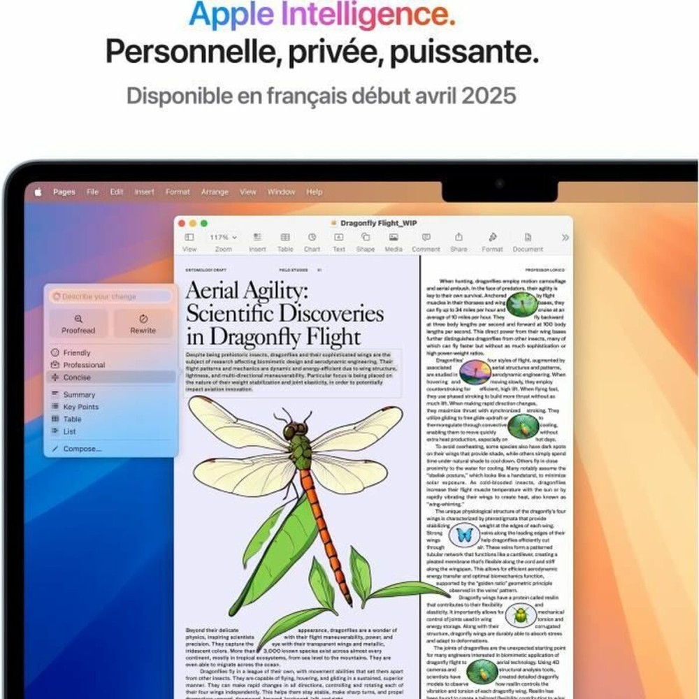 Ordinateur Portable Apple MacBook Air M4 13,6" M4 16 GB RAM 256 GB SSD