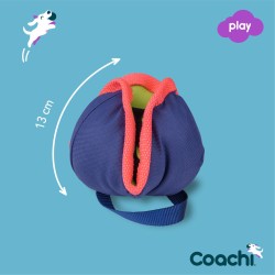 Trainingsspielzeug Coachi CHASE & TREAT Blau