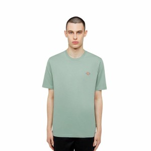 Herren Kurzarm-T-Shirt Dickies Ss Mapleton Tee grün