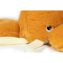 Dog toy Gloria Orange polypropylene
