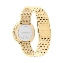 Herrenuhr Calvin Klein 25200321