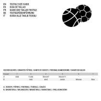 Ballon de basket Nike Everyday Playground Noir (Taille 7)
