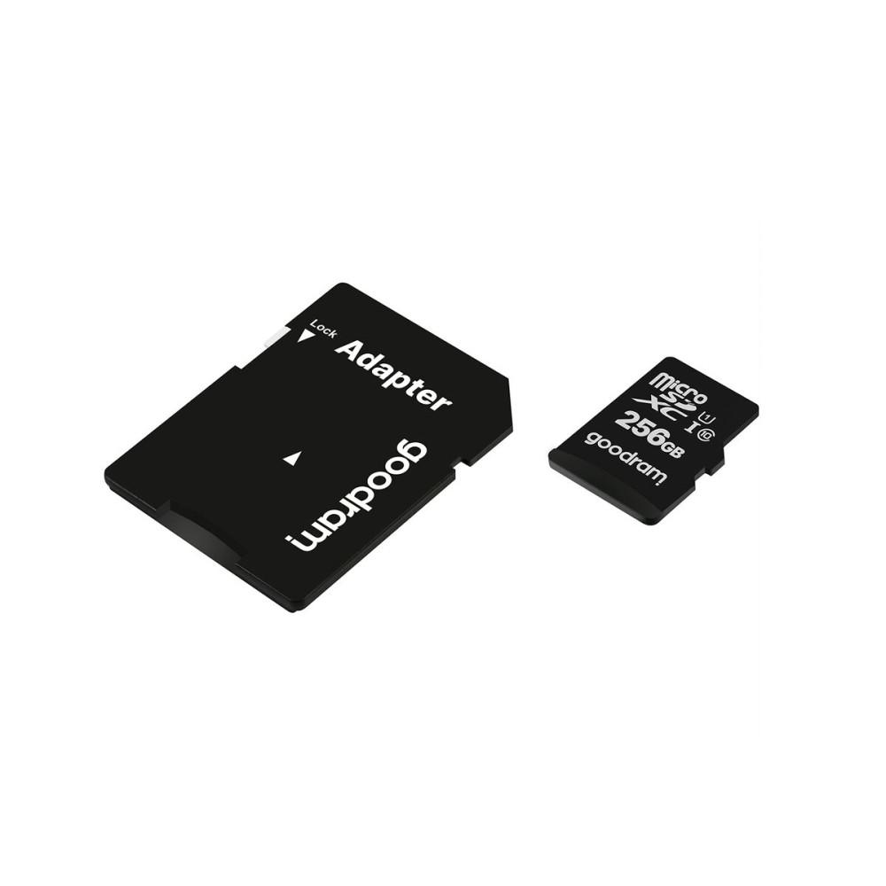 Carte Micro SD GoodRam M1AA-2560R12 256 GB
