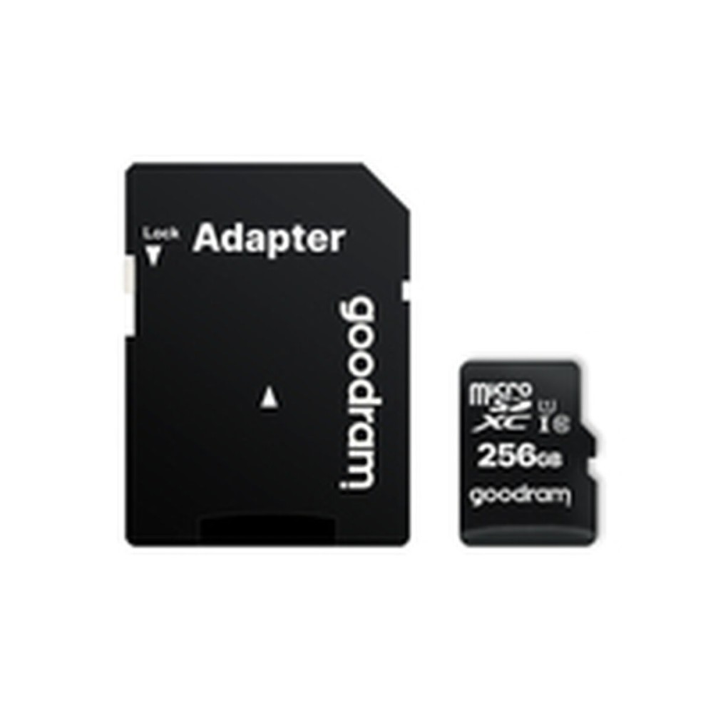 Carte Micro SD GoodRam M1AA-2560R12 256 GB