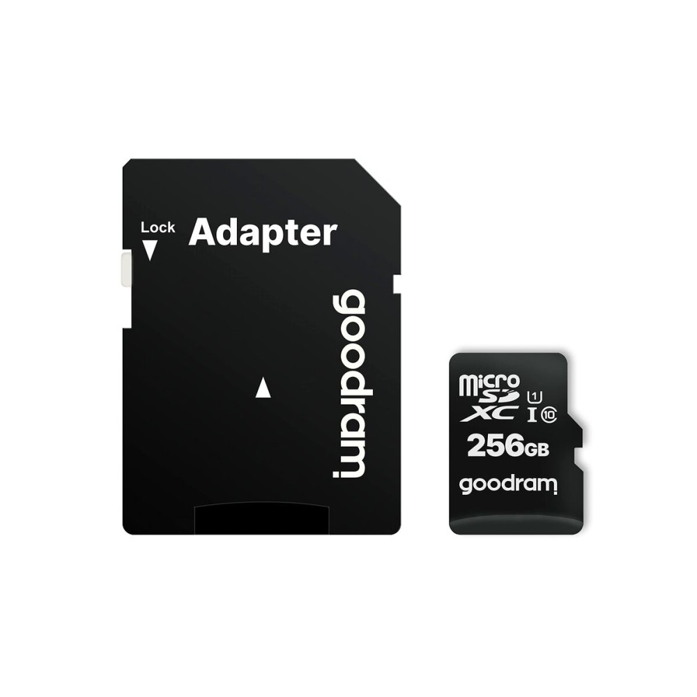 Carte Micro SD GoodRam M1AA-2560R12 256 GB
