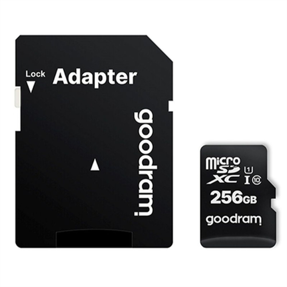 Carte Micro SD GoodRam M1AA-2560R12 256 GB