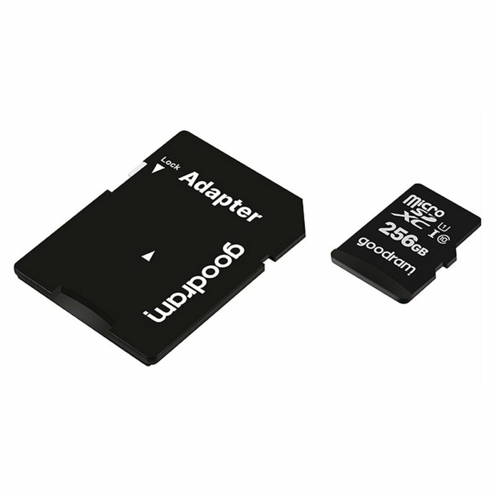 Carte Micro SD GoodRam M1AA-2560R12 256 GB