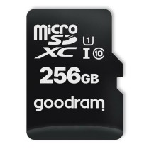 Carte Micro SD GoodRam M1AA-2560R12 256 GB