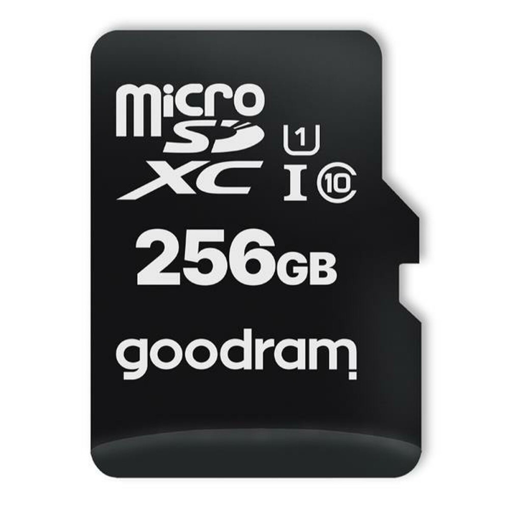 Carte Micro SD GoodRam M1AA-2560R12 256 GB