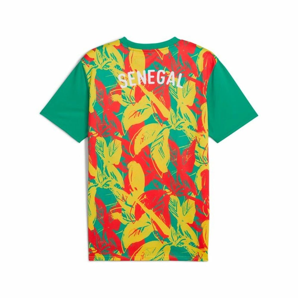 Men's Short-sleeved Football Shirt Puma Senegal Prematch Ss Green