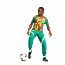 Men's Short-sleeved Football Shirt Puma Senegal Prematch Ss Green
