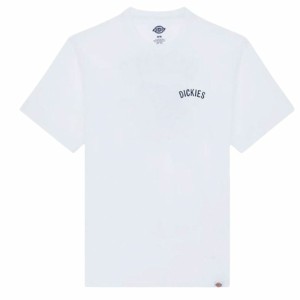 Herren Kurzarm-T-Shirt Dickies Dickies Snake Ss Tee Weiß