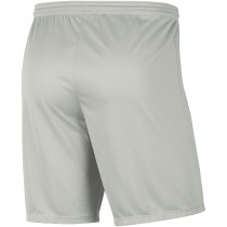 Men's Sports Shorts Nike DRI FIT PARK III BV6855 017 Grey