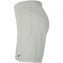 Herren-Sportshorts Nike DRI FIT PARK III BV6855 017 Grau