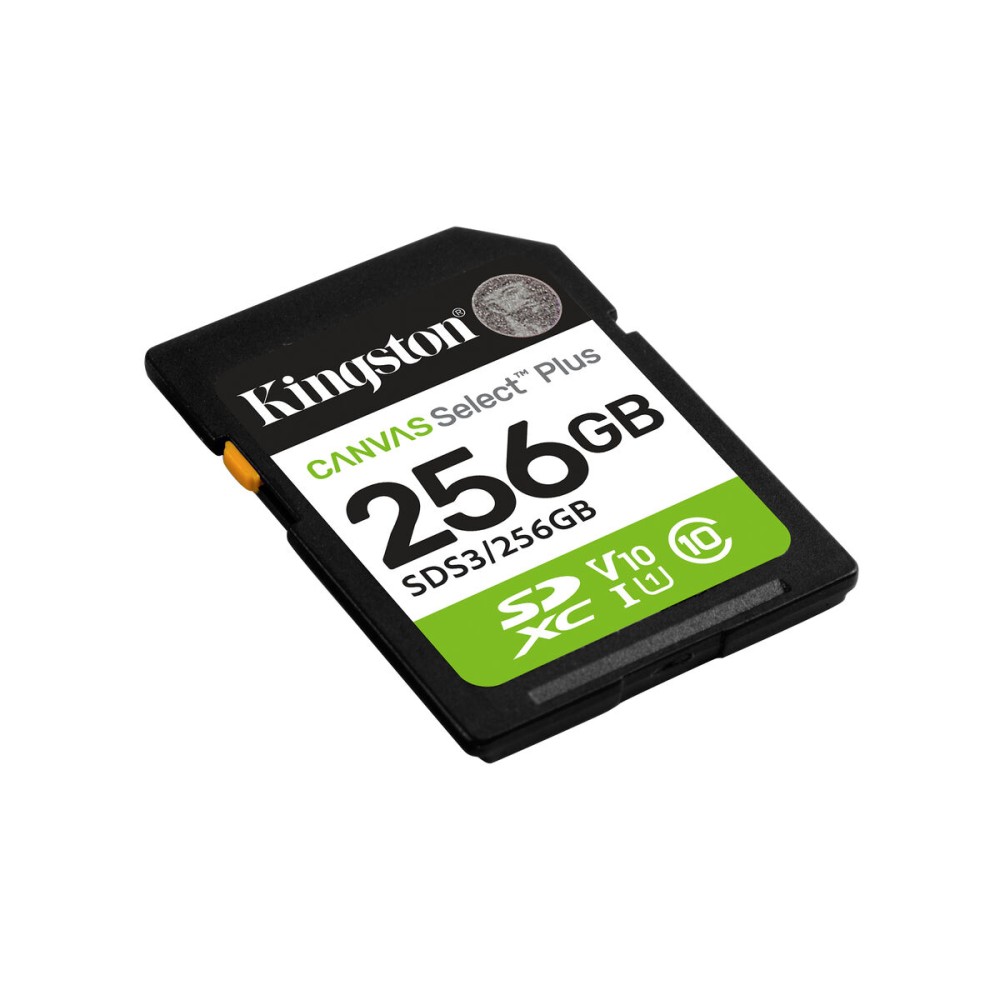 Carte Mémoire Micro SD avec Adaptateur Kingston SDS3/256GB 256 GB