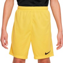Sport Shorts for Kids Nike DRI FIT PARK III BV6865 719