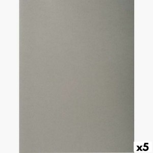 Set von Unterordnern Exacompta Grau A4 100 Stücke (5 Stück)